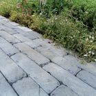 Blue Tumbled Asian Limestone Setts
