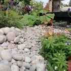 Scottish Pebbles
