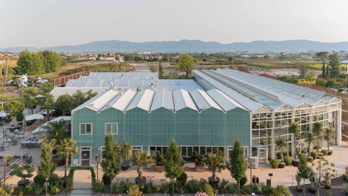 Greenhouse Naturart