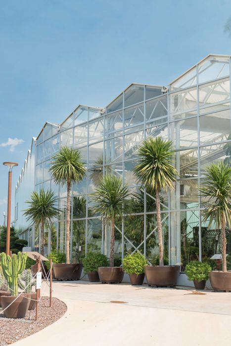 Greenhouse Naturart