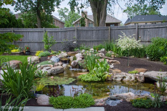 Aquascape Professional Pond Kits