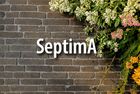 Clay pavers SeptimA