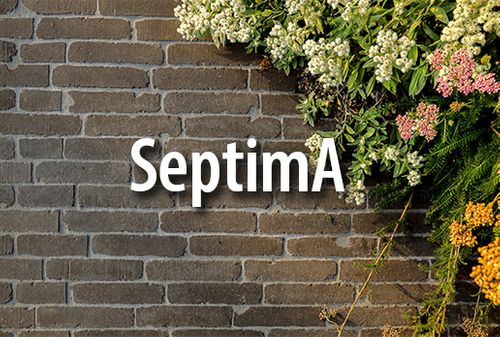 Clay pavers SeptimA