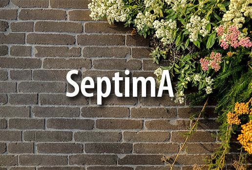 Clay pavers SeptimA