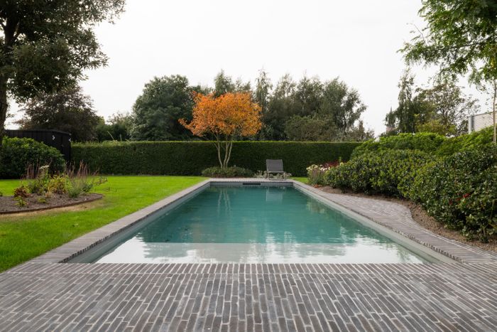 Clay pavers Elegantia 