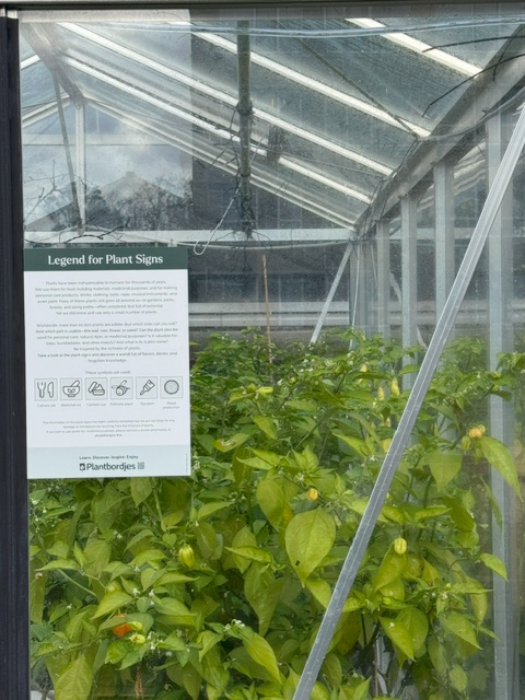PlantSigns for your balcony, (vegetable) garden and food forest