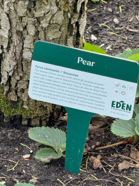 PlantSigns for your balcony, (vegetable) garden and food forest