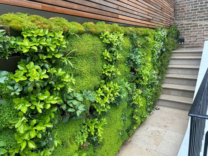 Channel Pro Living Wall System