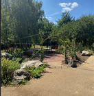 Where Nature Meets Durability: A Sustainable Replacement for a Willow Structure, Queen Elizabeth Oylmpic Park