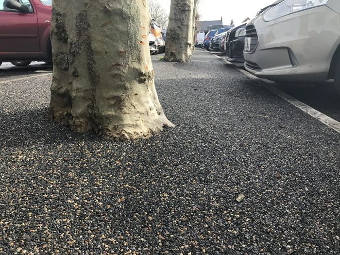 Resin Bound and Rubber Tree Pits
