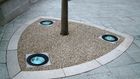 Resin Bound and Rubber Tree Pits