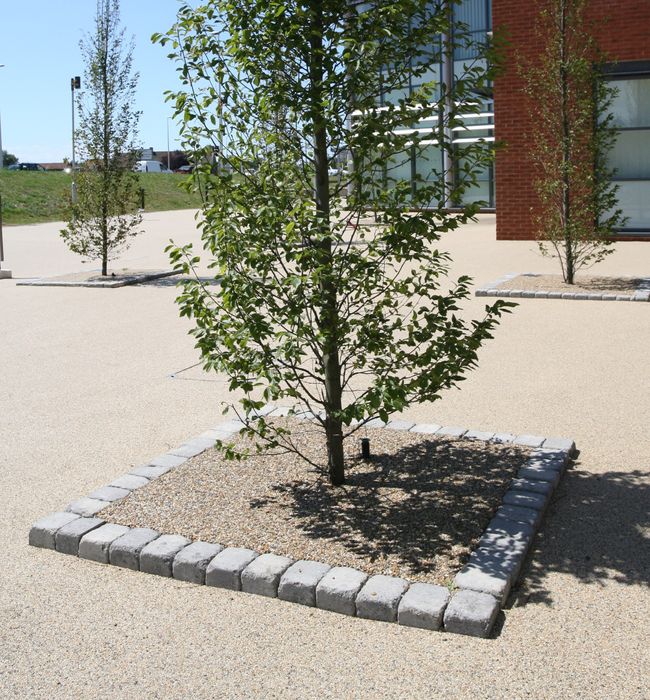 Resin Bound and Rubber Tree Pits