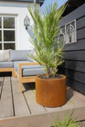 Multi Edge Flora planters / multiple sizes