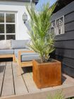 Multi Edge Flora planters / multiple sizes