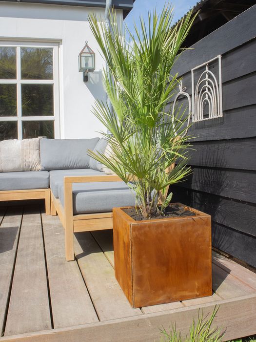 Multi Edge Flora planters / multiple sizes