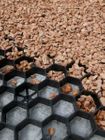 Eurogravel Pro 