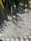 Eurogravel Plus