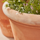 Clayton Large Terracotta Plant Pot
