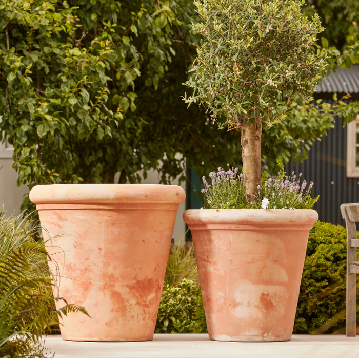 Clayton Large Terracotta Plant Pot