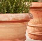 Verona Extra Large Italian Terracotta Plant Pot