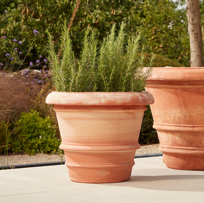 Verona Extra Large Italian Terracotta Plant Pot