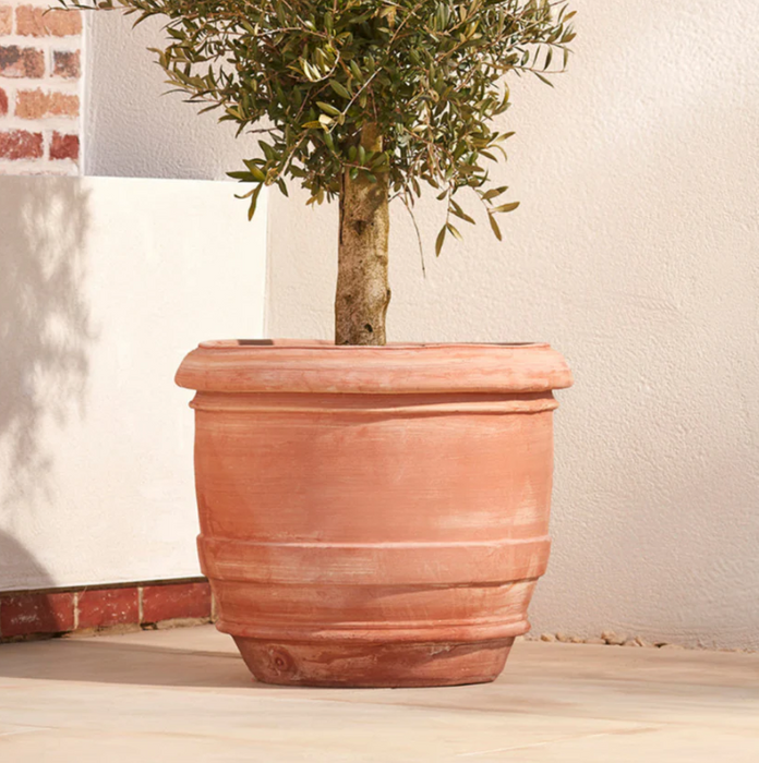 Lucca Large Italian Terracotta Plant Pot