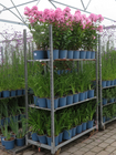 Provender Production