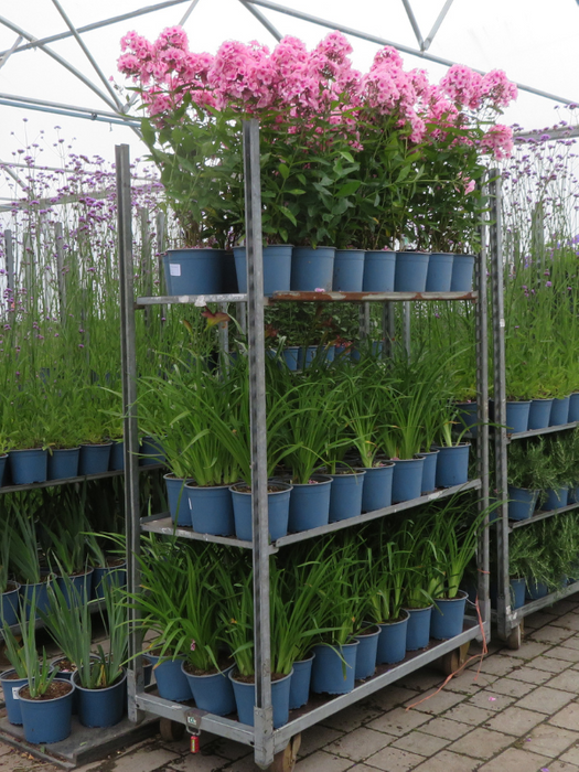 Provender Production