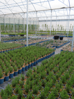 Provender Production