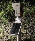 Trash and debris screen cameras