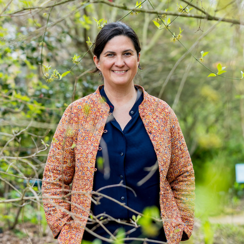 Katerina Kantalis - Katerina Kantalis Gardens