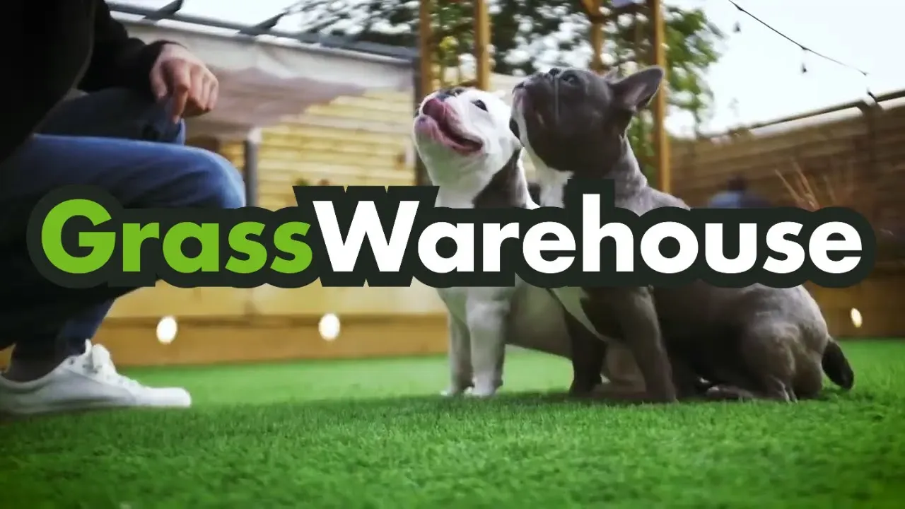 The Perfect Artificial Grass Lawn 🌱