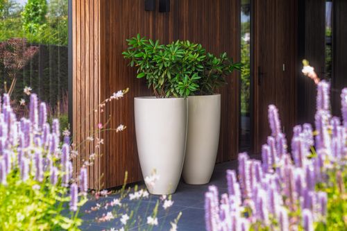 Transform Your Outdoor Space with ADEZZ | Garden Inspiration