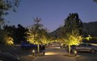 Lakeside Golf Club Landscape Lighting Project