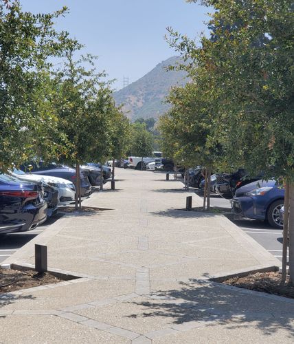 Lakeside Golf Club Landscape Lighting Project