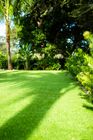 Backyards