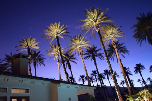 Residential Landscape Lighting Project