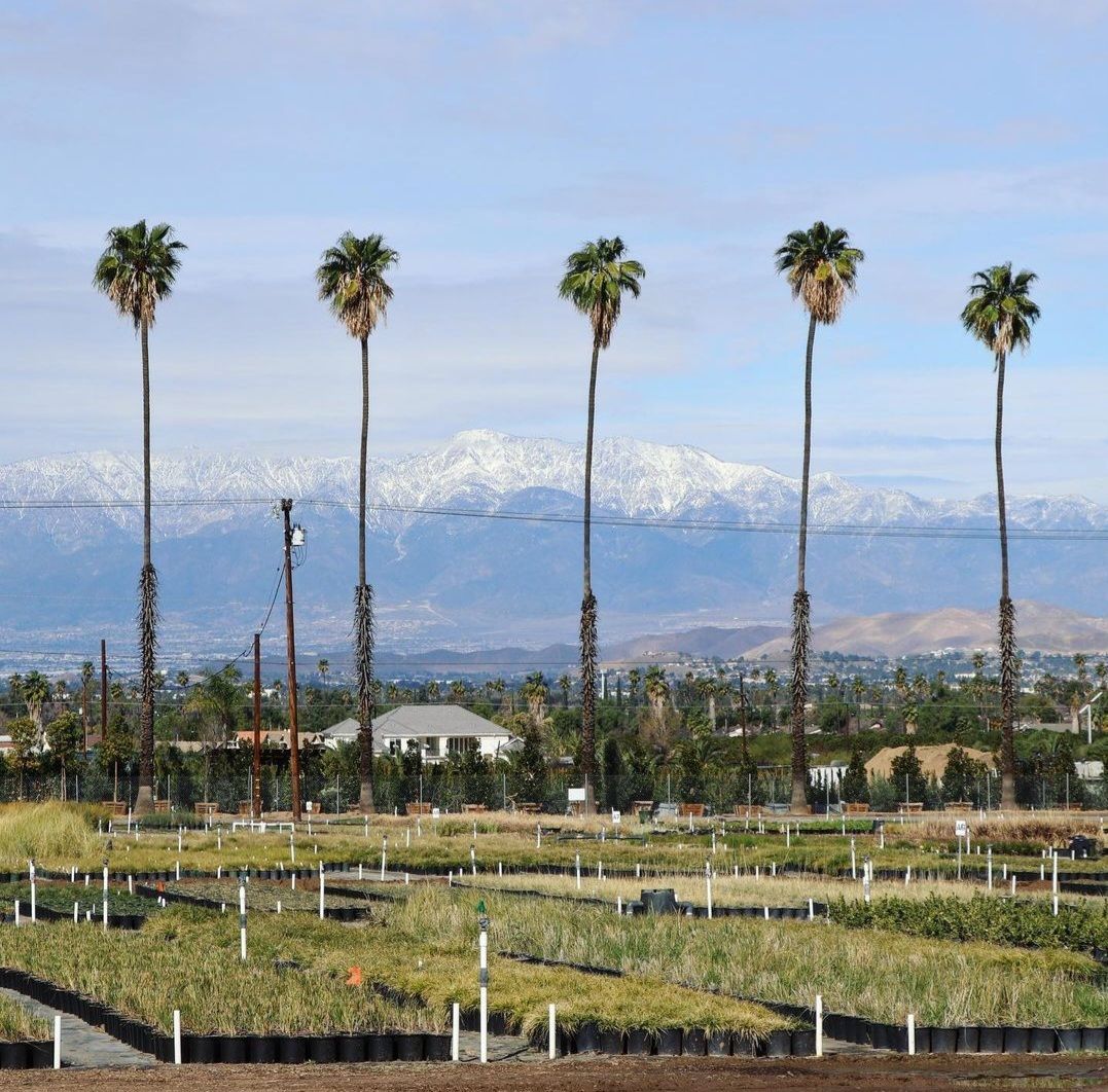 Greenbelt Growers