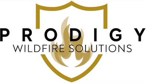 Prodigy Wildfire Solutions