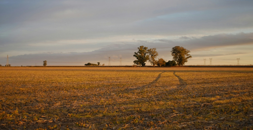 ASLA unveils first update to 2021 Climate Action Plan