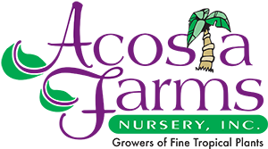 Exhibitor profile image for Acosta Farms Nursery