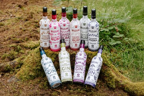The Perfect Mix: Squeezed and Wildjac Partner to Redefine Ready-to-Drink Cocktails