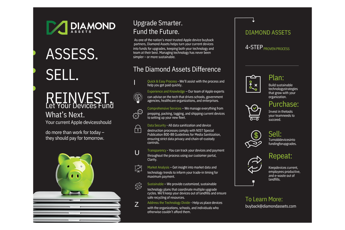 Diamond Assets Flyer