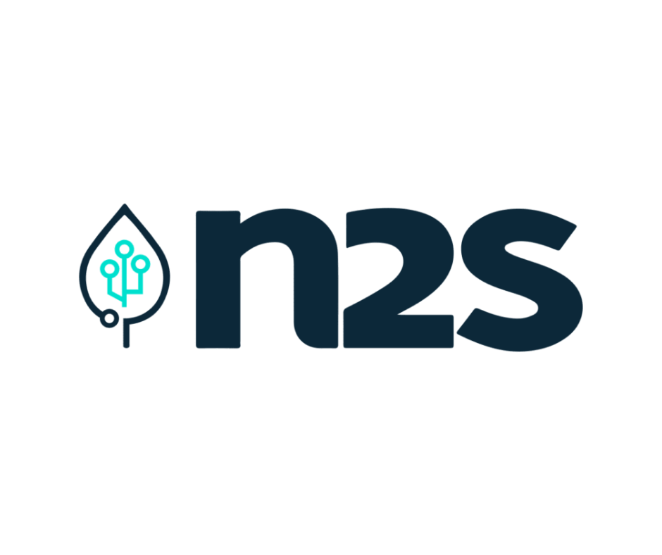 N2s
