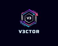 Company name - V3ctor Ltd