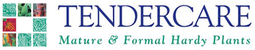 Tendercare