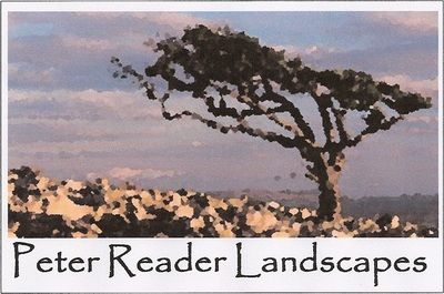 Peter Reader Landscapes