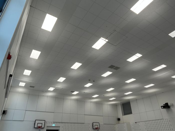Ceiling Netting
