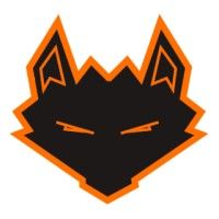 Company name - NovaFox