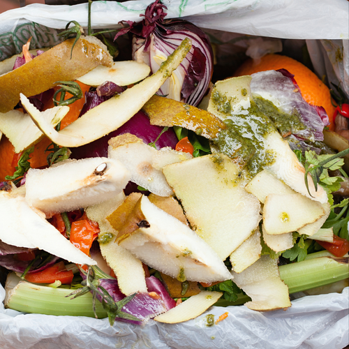 Preparing for Change: How Middleton Engineering Supports the Future of Waste Separation